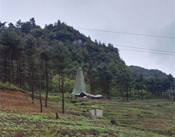 把脈“黔”鋅地，問診開良方